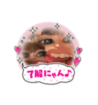 我等友情永久不滅！にゃんこさんちーむ（個別スタンプ：12）