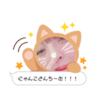 我等友情永久不滅！にゃんこさんちーむ（個別スタンプ：16）