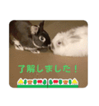 Minchopila7（個別スタンプ：2）