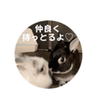 Minchopila7（個別スタンプ：17）