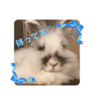 Minchopila7（個別スタンプ：18）