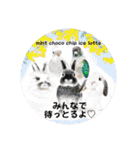 Minchopila7（個別スタンプ：20）