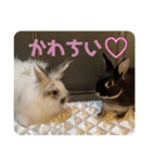 Minchopila7（個別スタンプ：35）