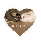 Minchopila7（個別スタンプ：37）
