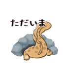 オオサンショウウオのかもすけ2（個別スタンプ：1）