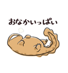 オオサンショウウオのかもすけ2（個別スタンプ：7）