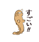 オオサンショウウオのかもすけ2（個別スタンプ：13）