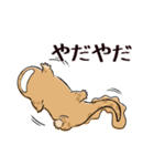 オオサンショウウオのかもすけ2（個別スタンプ：19）