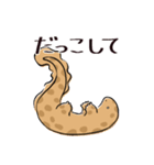 オオサンショウウオのかもすけ2（個別スタンプ：22）