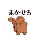 オオサンショウウオのかもすけ2（個別スタンプ：28）