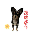 トロのきもち2（個別スタンプ：1）