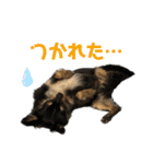 トロのきもち2（個別スタンプ：21）