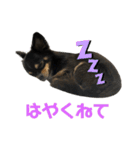 トロのきもち2（個別スタンプ：23）
