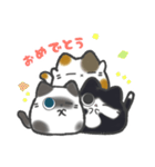 ほのぼのneko（個別スタンプ：11）