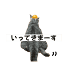 ぎんたまの日常（個別スタンプ：4）