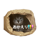 ぎんたまの日常（個別スタンプ：10）