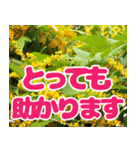 見やすいデカ文字とお花フォトで挨拶（個別スタンプ：30）