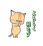 にゃんちょこりん(茶トラ猫)（個別スタンプ：25）