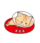 にゃんちょこりん(茶トラ猫)（個別スタンプ：30）