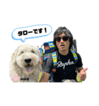 DUKE The Goldendoodle（個別スタンプ：13）
