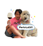 DUKE The Goldendoodle（個別スタンプ：14）