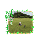 鬼怒川口（個別スタンプ：1）