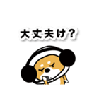 モータースポーツ犬【ぶ〜〜〜〜ん】（個別スタンプ：13）