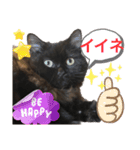 黒猫 ルナ院長114にゃんめ（個別スタンプ：3）