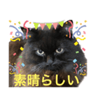 黒猫 ルナ院長114にゃんめ（個別スタンプ：6）