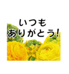 *花*ありがとう（個別スタンプ：18）