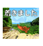 アカショウビン大好き、沖縄行きたい。（個別スタンプ：11）