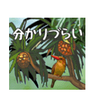 アカショウビン大好き、沖縄行きたい。（個別スタンプ：12）