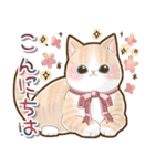 毎日使える♡ふんわり癒し猫（個別スタンプ：1）