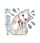 毎日使える♡ふんわり癒し猫（個別スタンプ：18）