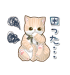 毎日使える♡ふんわり癒し猫（個別スタンプ：19）