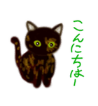 サビ猫サビチィLINEスタンプ（個別スタンプ：1）