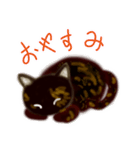 サビ猫サビチィLINEスタンプ（個別スタンプ：3）