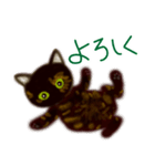 サビ猫サビチィLINEスタンプ（個別スタンプ：5）