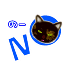 サビ猫サビチィLINEスタンプ（個別スタンプ：9）