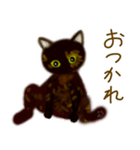 サビ猫サビチィLINEスタンプ（個別スタンプ：10）