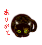 サビ猫サビチィLINEスタンプ（個別スタンプ：11）