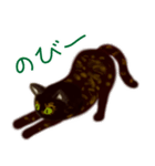 サビ猫サビチィLINEスタンプ（個別スタンプ：12）