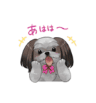 犬いっぱいスタンプ（個別スタンプ：20）