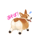 犬いっぱいスタンプ（個別スタンプ：28）