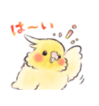 ふんわりオカメインコちゃん 水彩タッチ（個別スタンプ：3）