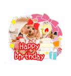 杏ちゃん11歳Happy birthday（個別スタンプ：7）