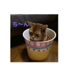 桜姐さんと仲間たち（個別スタンプ：2）
