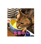 桜姐さんと仲間たち（個別スタンプ：4）
