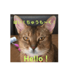 桜姐さんと仲間たち（個別スタンプ：6）
