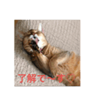 桜姐さんと仲間たち（個別スタンプ：7）